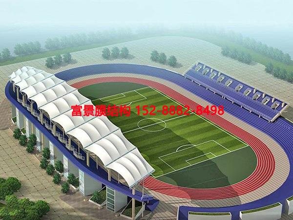 Ĥ�Y�����_