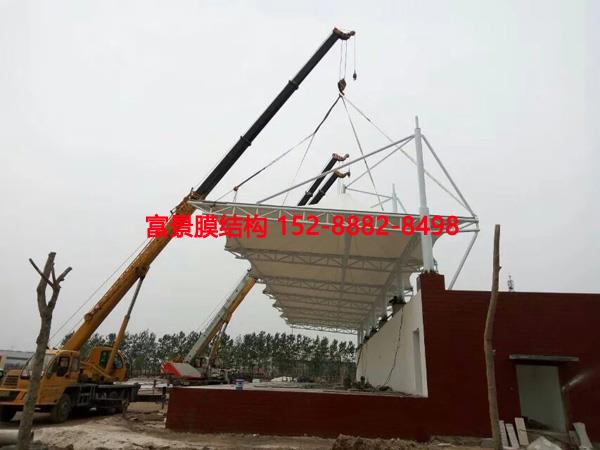 Ĥ�Y�����_